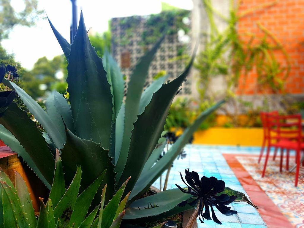 La Querencia Df Acomodação com café da manhã Cidade do México Exterior foto