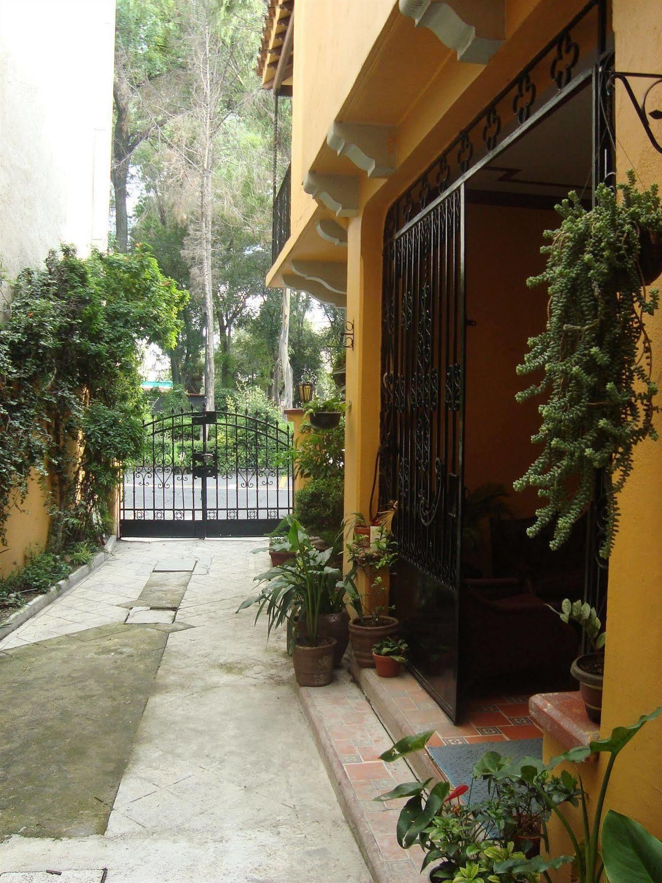 La Querencia Df Acomodação com café da manhã Cidade do México Exterior foto